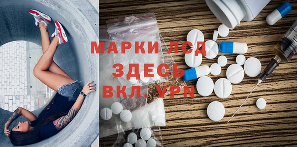 прущие грибы Абдулино