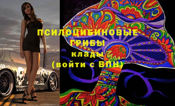 прущие грибы Алексин