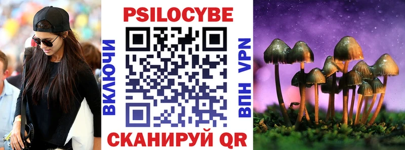 Галлюциногенные грибы Magic Shrooms  Гдов 